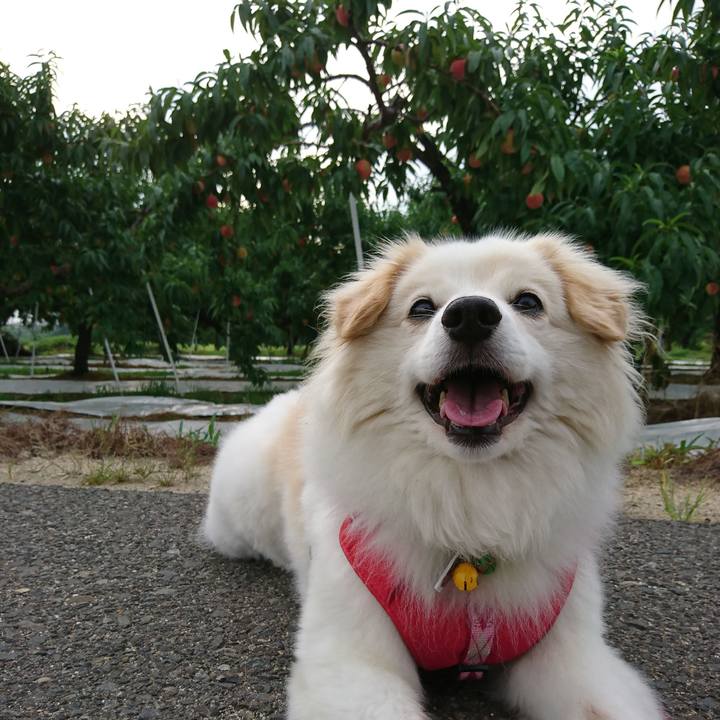 Fcd2a6f3 f5c1 4bdc b755 2d4d38e206cb 1532207889100