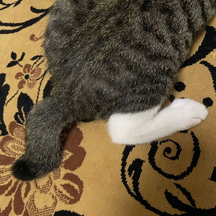 Fcd2b854 4441 4da2 a852 a05263e027c4 1723492923096