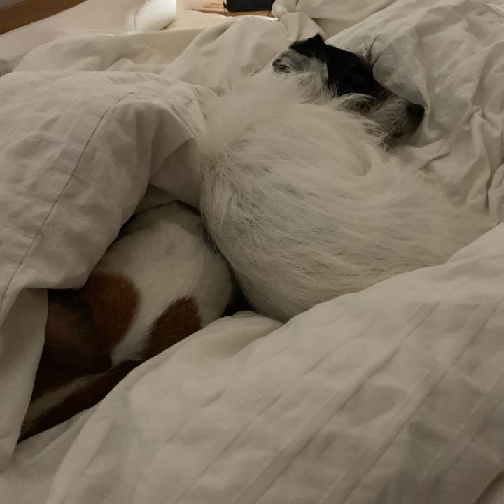 Fcd2c41e b0e0 4ee8 a8f6 5bedaad172a1 1554302072388