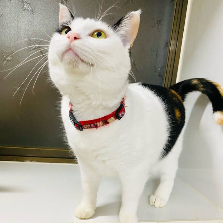 Fcd2d96e 4ad6 4981 ab12 ca0416b7f1f1 1702209713037