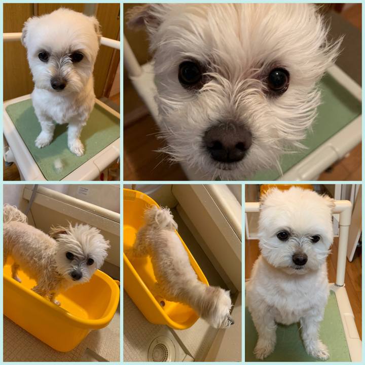 Fcd31183 cdb2 4693 b11f 14af812dfc83 1620201874599