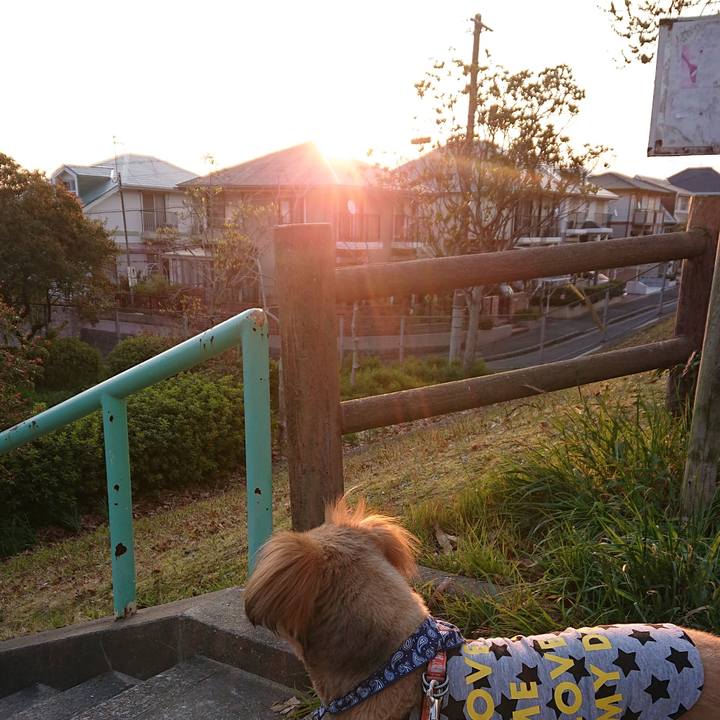 Fcd31d42 1e65 4fdd bf15 5a642eea8fcf 1554242732672