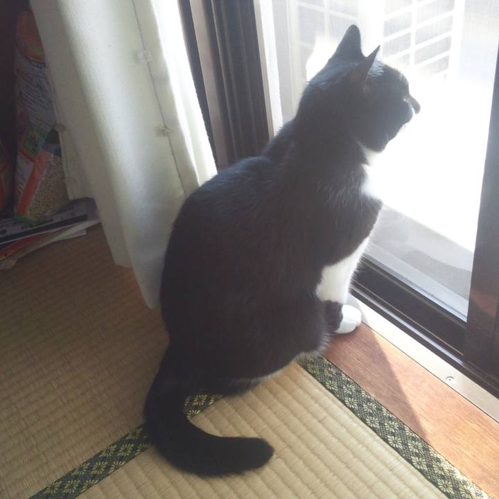 Fcd38dcf c850 4d6f 86e8 f8adb7d576e8 1542073970679