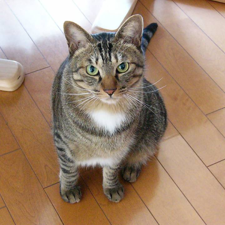 Fcd3c590 4377 48af 89f8 75cd343ce8b3 1565654061258