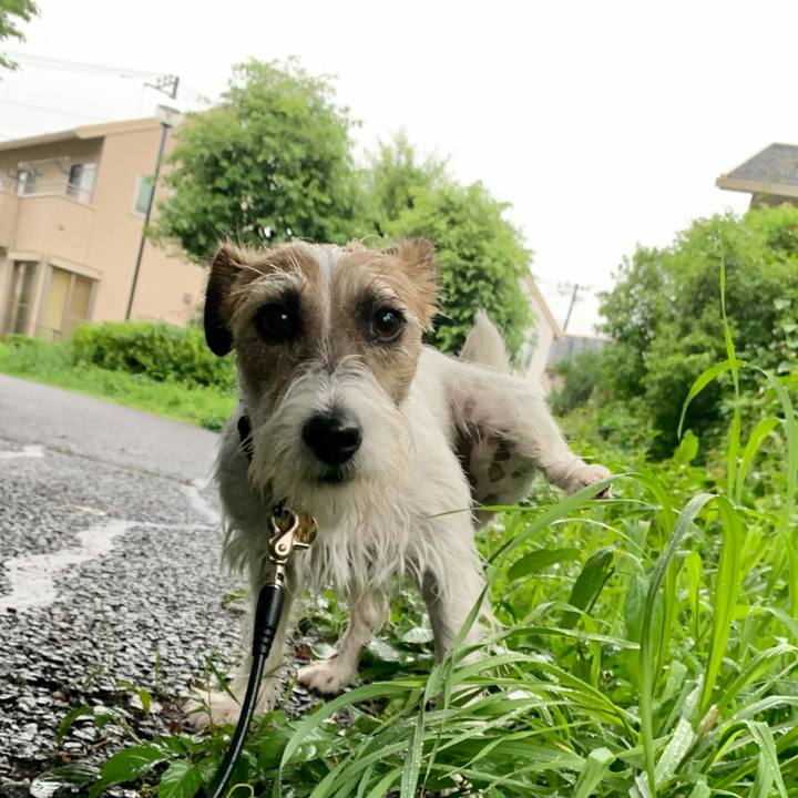 Fcd3e4fc bd16 4083 a183 0ca93637d6ab 1625403758439