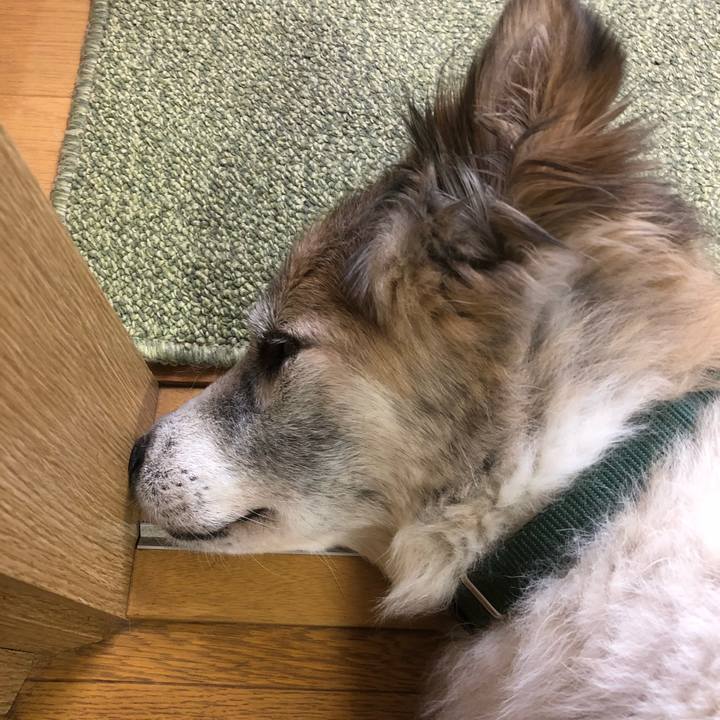 Fcd3f41e 7cce 4c6e 8987 4f1f4029cf54 1536706752485