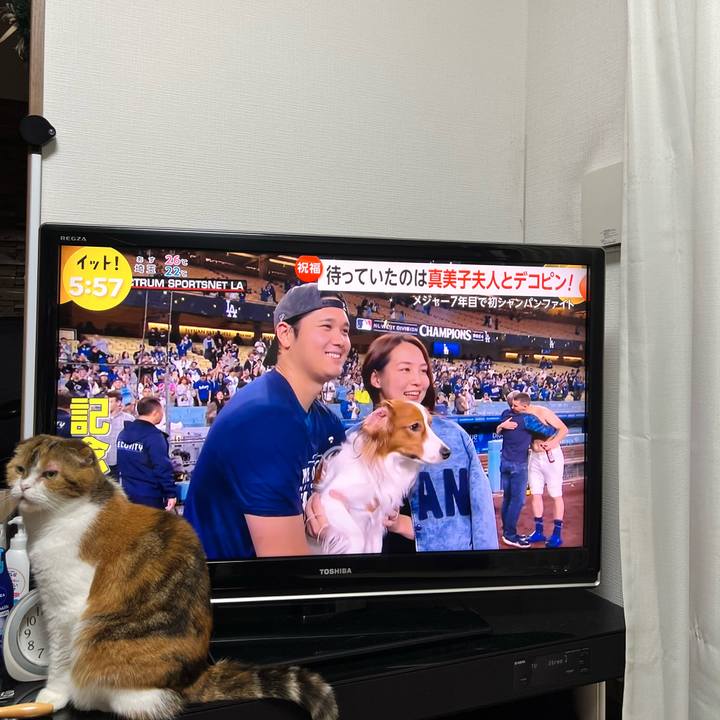 Fcd401df b671 492f 8bc1 eed21920a914 1727427512372