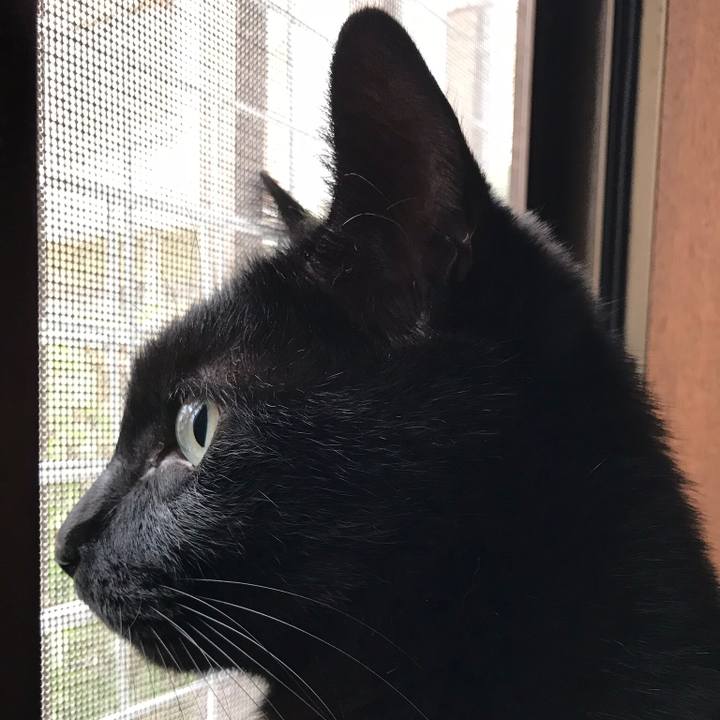 Fcd40549 13ed 44b2 81fa 501404d8e628 1512090080251