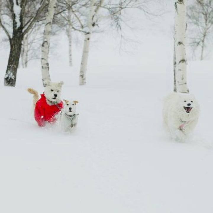 Fcd4107c dff3 45cf b6e4 b241cc0410ec 1580879850987