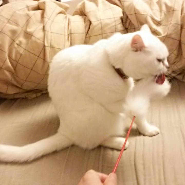 Fcd43e22 f925 4965 b710 d540332b398a 1510060057258