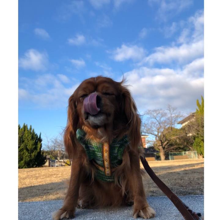 Fcd44f3f 3f25 48c2 8b92 883a16061938 1611965255078