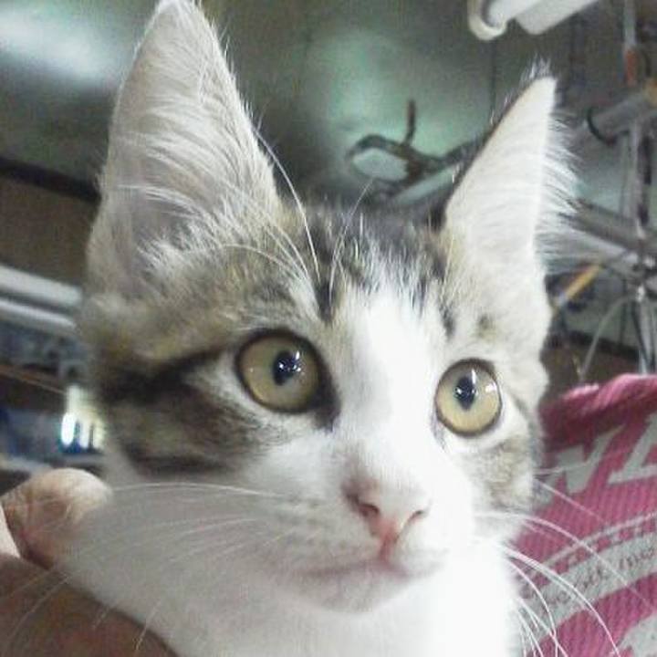 Fcd453e8 6c57 486e b937 bf2c562f110f 1573552435866