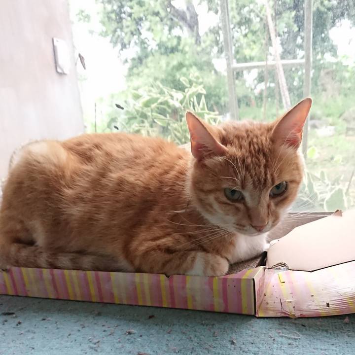 Fcd45a23 2dac 49b2 a686 1b913bea1a49 1594373827718