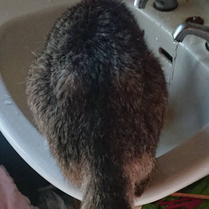 Fcd46a0c 0e53 4500 ba84 ddd57d4e750b 1565564075123