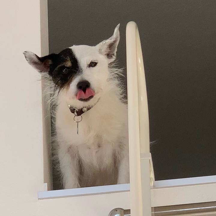 Fcd47a3e cb71 447a 9eab ed9e5aba33aa 1718760831280