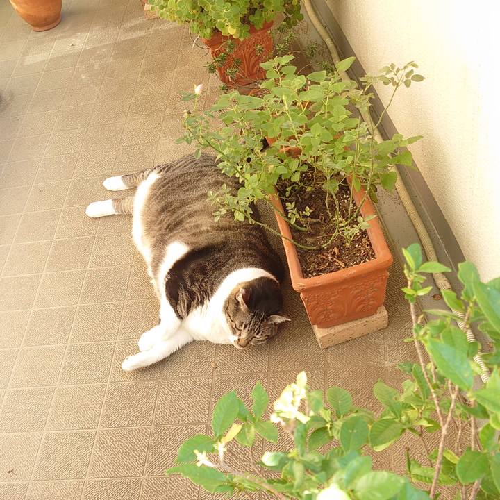 Fcd48c5d 34b7 40d1 84eb 5254a8b0bd14 1632179035822