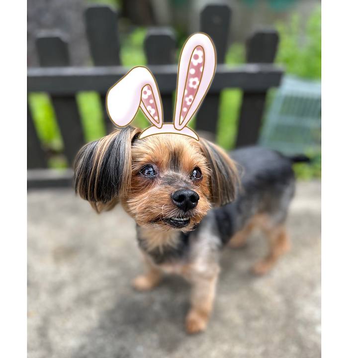 Fcd49301 bc79 489a a09e 730d50365401 1650162101660