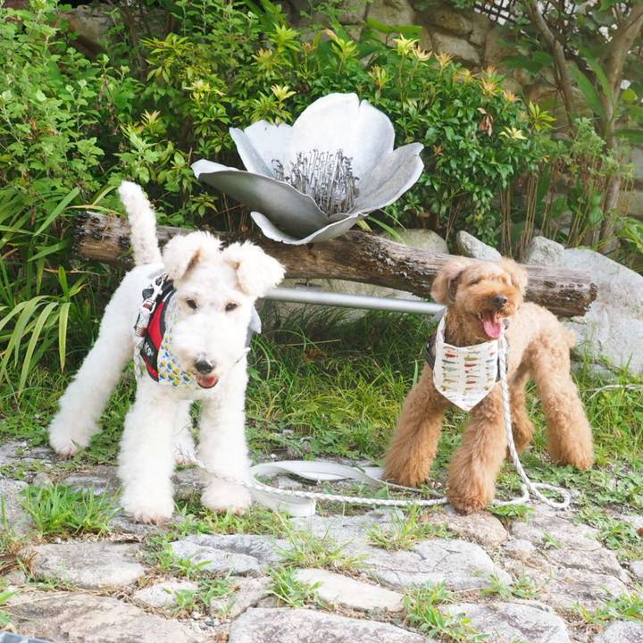 Fcd4ce3e ba4d 463d 9734 61aab88c1553 1566095044706