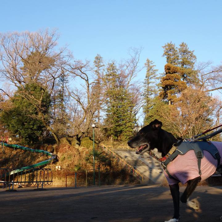 Fcd4fdc1 57fd 4f61 883a 641d1bc5c692 1735949201242