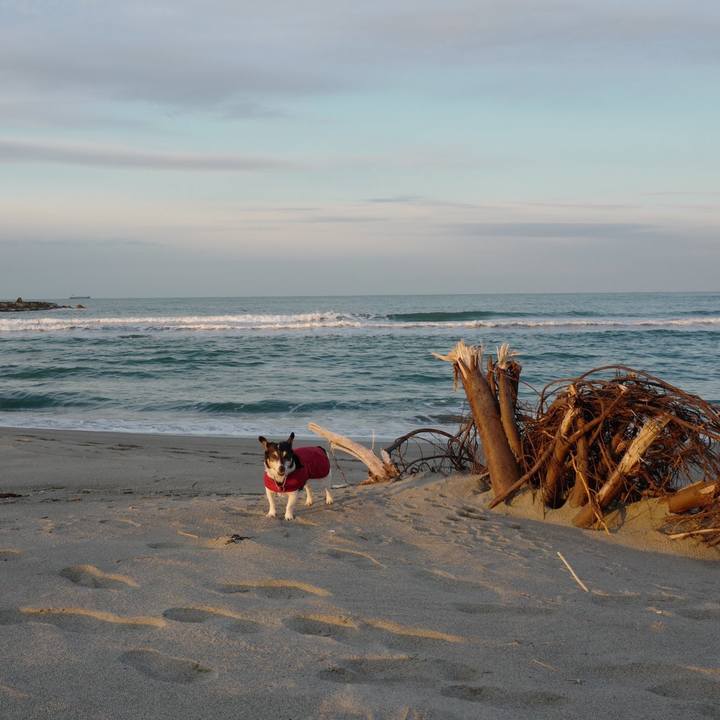 Fcd51823 cd01 402d 88c2 305a4cffbb59 1576813405902