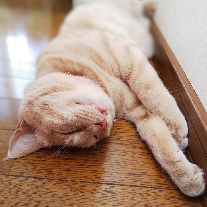 Fcd53959 afb7 408a ab25 950cb18eeb98 1567911440025