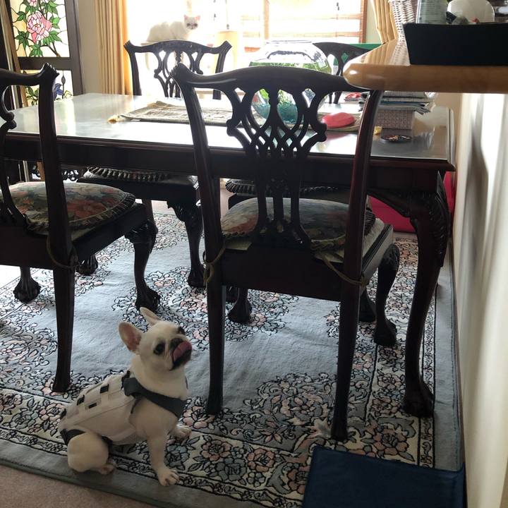 Fcd53ab7 1698 4975 970d 9dcc5e48950d 1563164599433