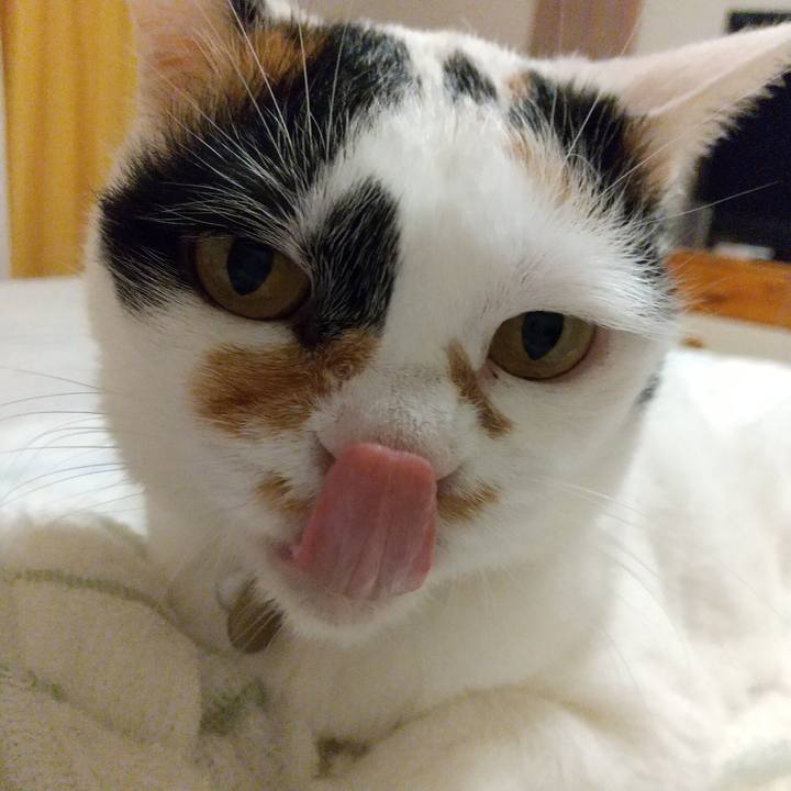 Fcd547f8 8343 409a 839f c3c5a9e3ac55 1634473953173