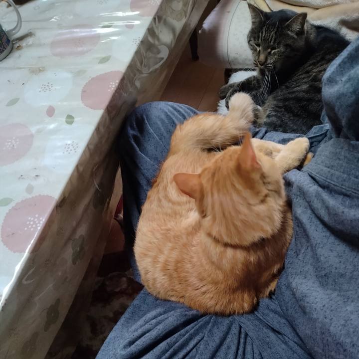 Fcd54c32 e134 483f 9eb7 2d92e66149d3 1667090768601