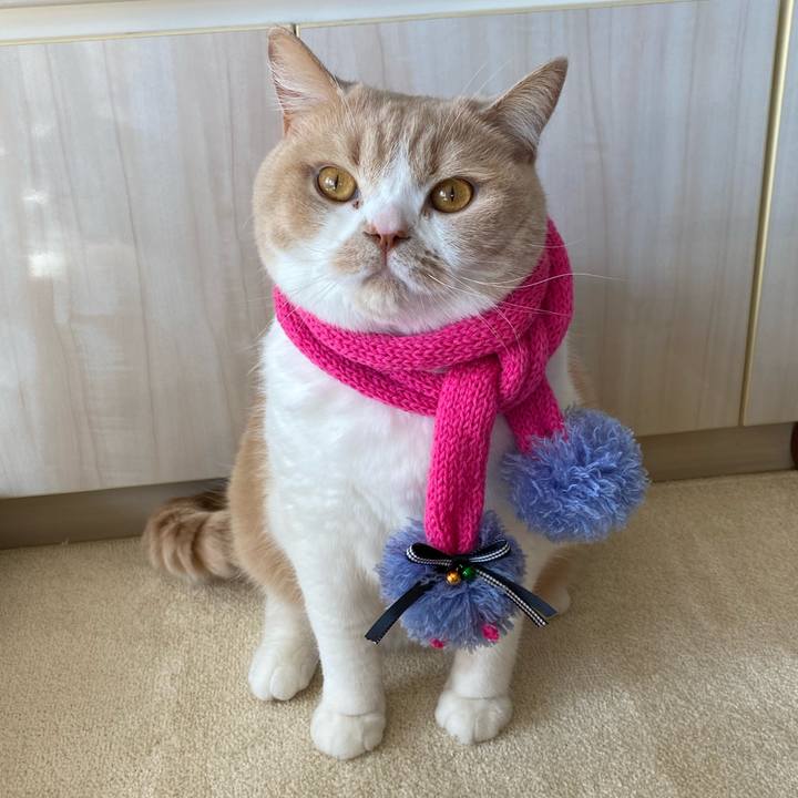 Fcd5a713 c5c7 4f72 93b4 ebc2af3fe461 1606537804176