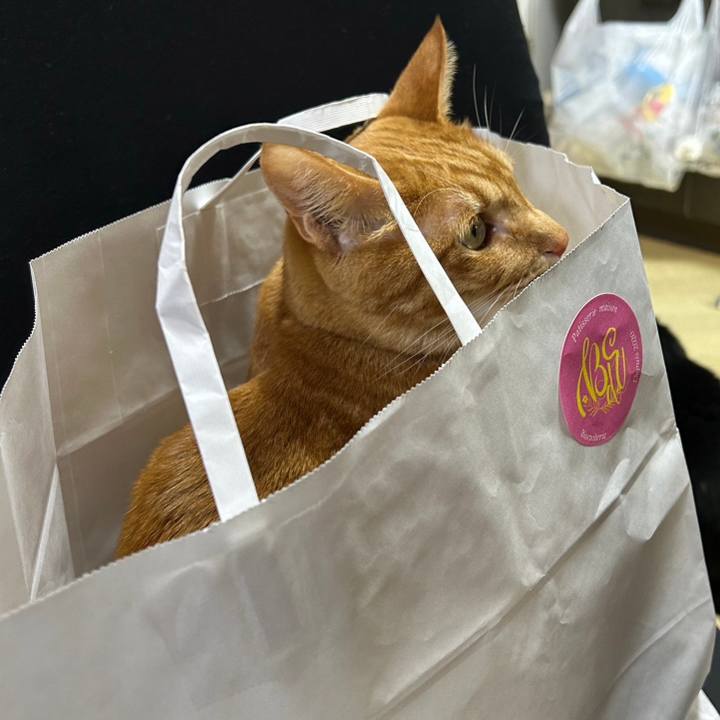 Fcd5ac45 d24a 486f 9299 dc3ec3e1504a 1696736746820