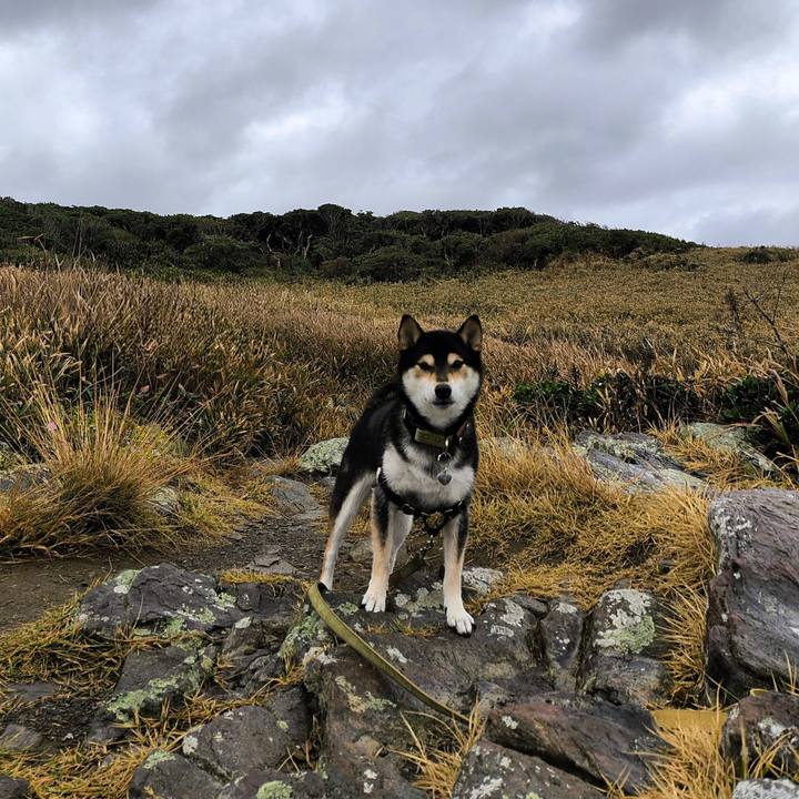 Fcd5b446 ba46 4ae9 afbb 309eb8efd929 1761919796446