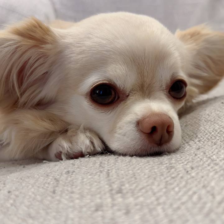 Fcd5bc79 ab35 43a3 b9f9 79d2deb0692a 1746184032362