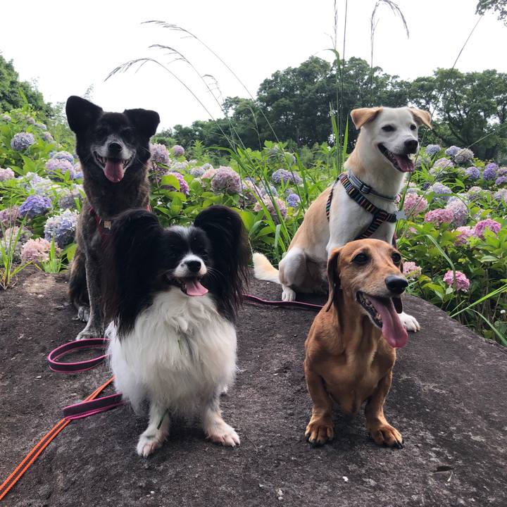 Fcd5c27f 7eb0 464c afe1 ce4dd8f00b64 1629284198392