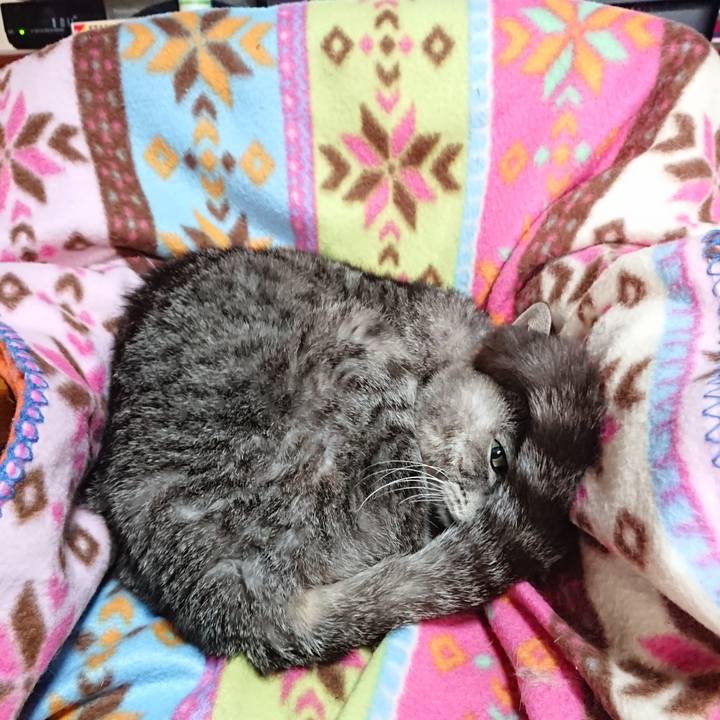 Fcd5d94c 8aec 4a8a aea3 3976a382270a 1585173997226