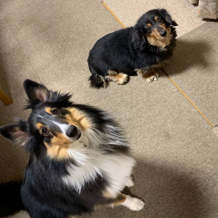 Fcd5e2a5 2112 4369 81e9 e1bced069f6a 1579470357153