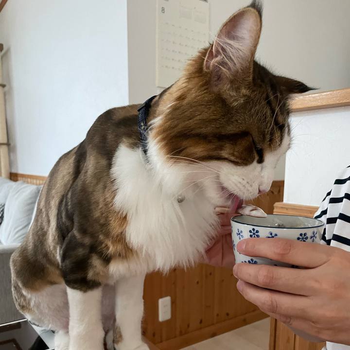 Fcd5ee86 8143 47f6 bba2 dd63069f4ed7 1659650033120