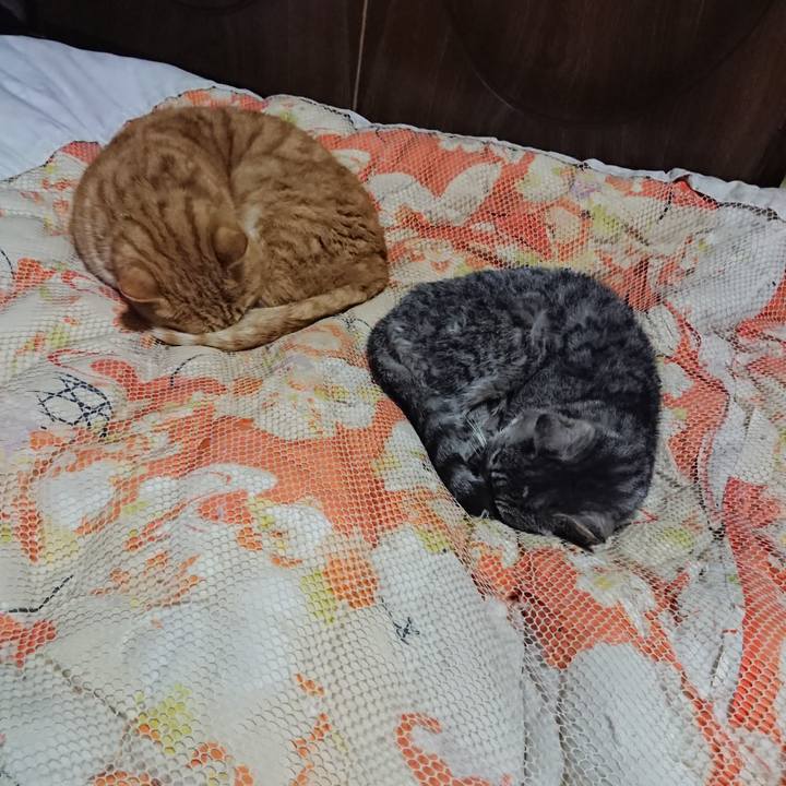 Fcd60166 1114 484a 9426 ecedf2f8ae95 1580472900546