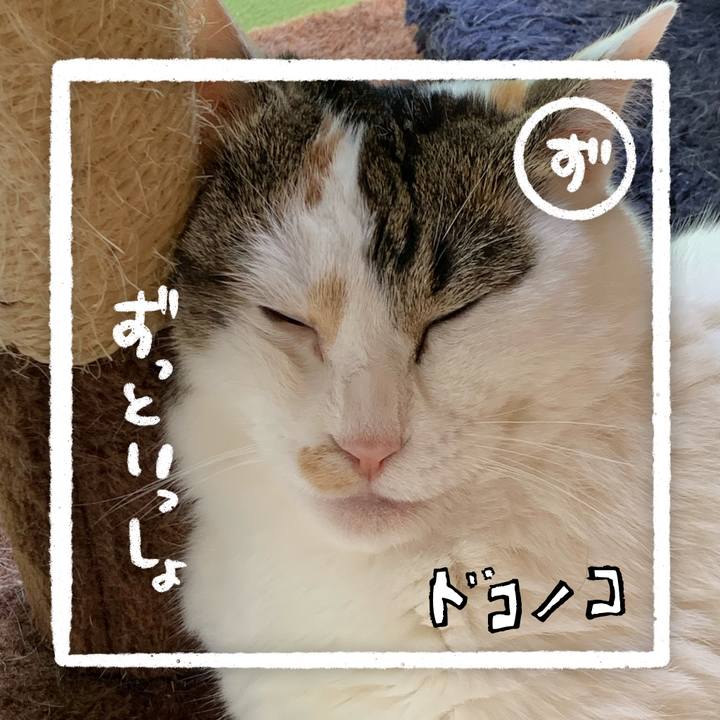 Fcd6081c fabd 4b2a a19c 08548ee9fb96 1685974927134