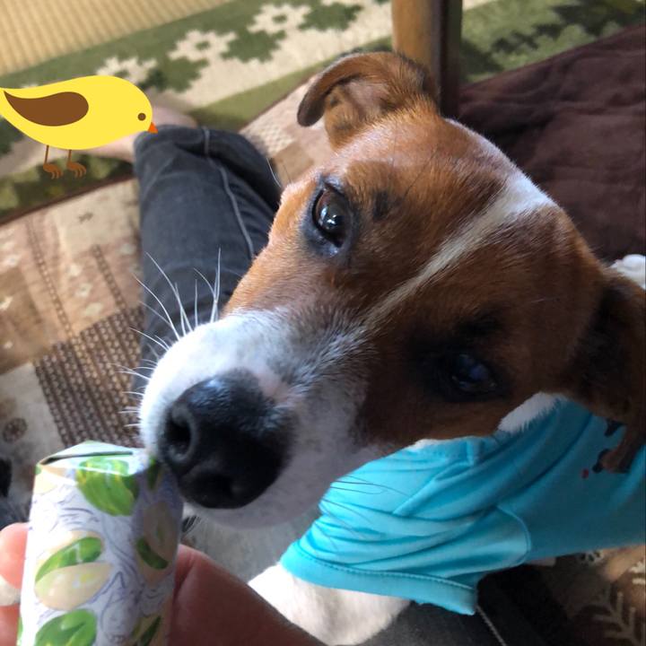 Fcd65fd4 f741 45b4 8b6a e2464aaa77fd 1530227449075