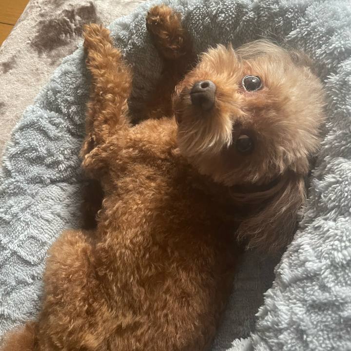 Fcd685b4 8865 4145 8e8d eda534ba9110 1700702282870