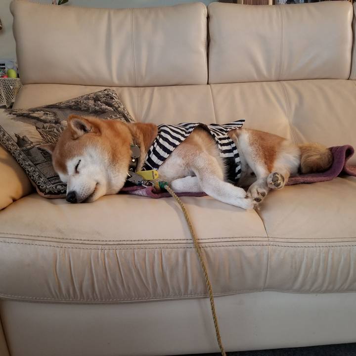 Fcd6efeb bf61 4d42 b278 08e85a5db981 1642634125473