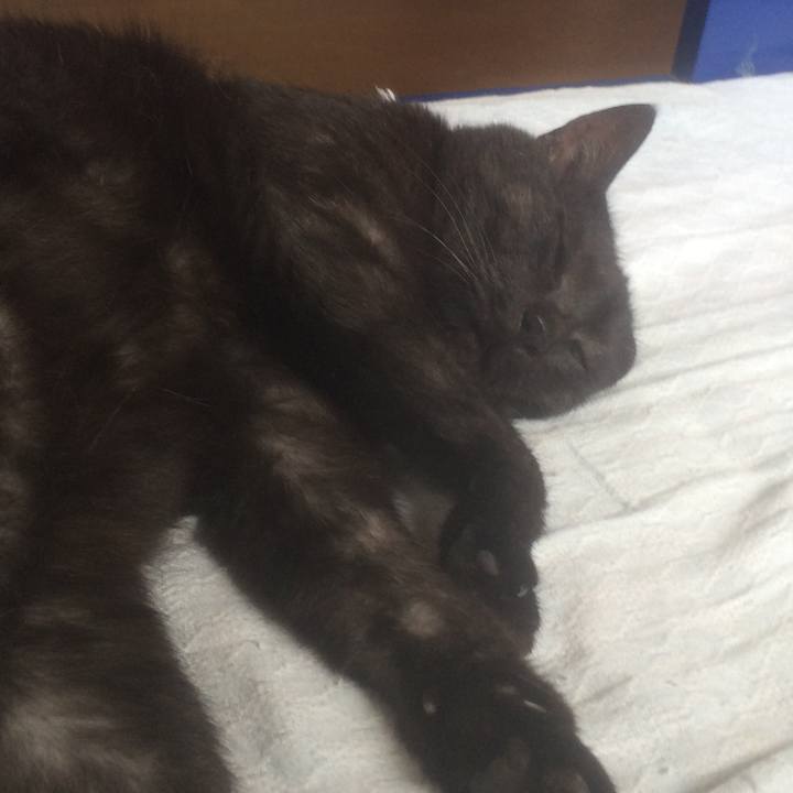 Fcd709c6 9cb0 4d3e 866f 80d6ab11ed3d 1562133365041