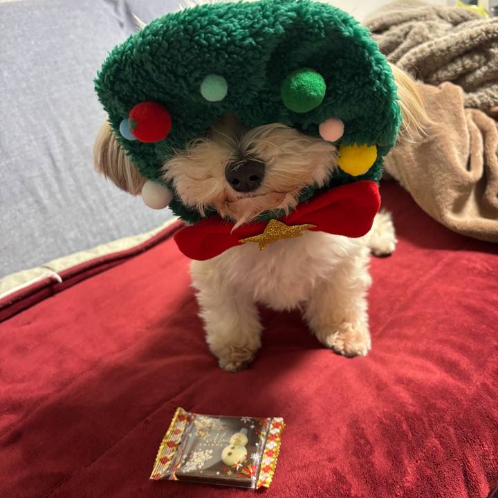 Fcd71af7 a129 426d 852b dbef79aefdf1 1766580271717