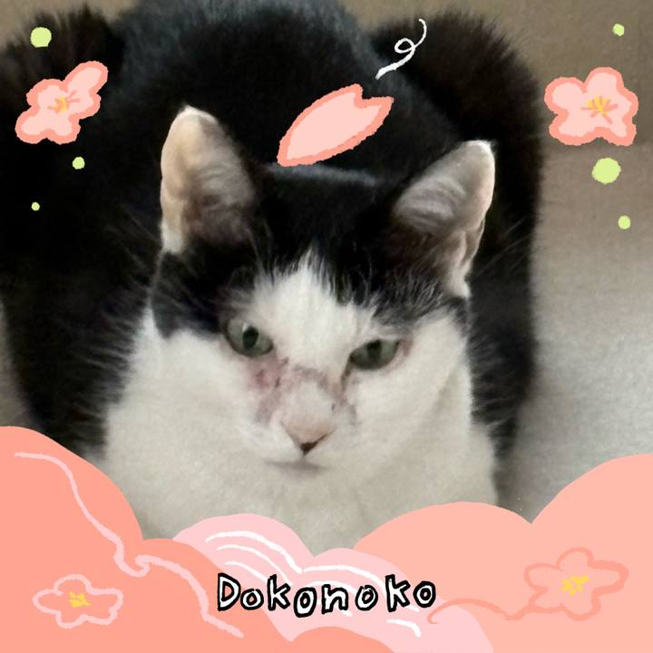 Fcd73619 2a6c 4658 bde8 988487657b6d 1775305833319