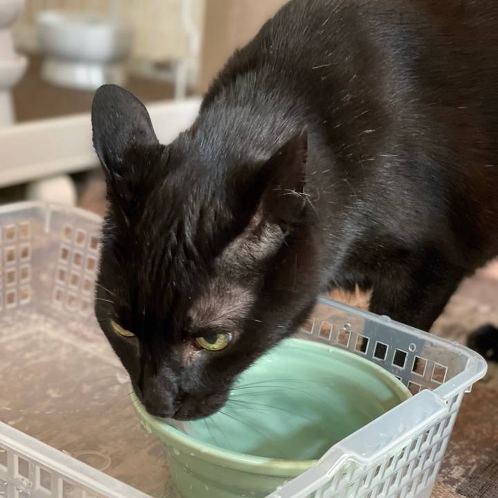 Fcd75275 bc46 4c90 91ea e2080cfe0423 1656725647791