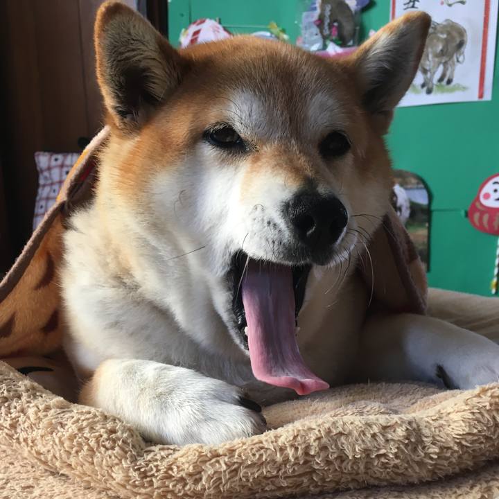 Fcd75b14 912d 4acf b588 9347e38cc3c2 1615337191369