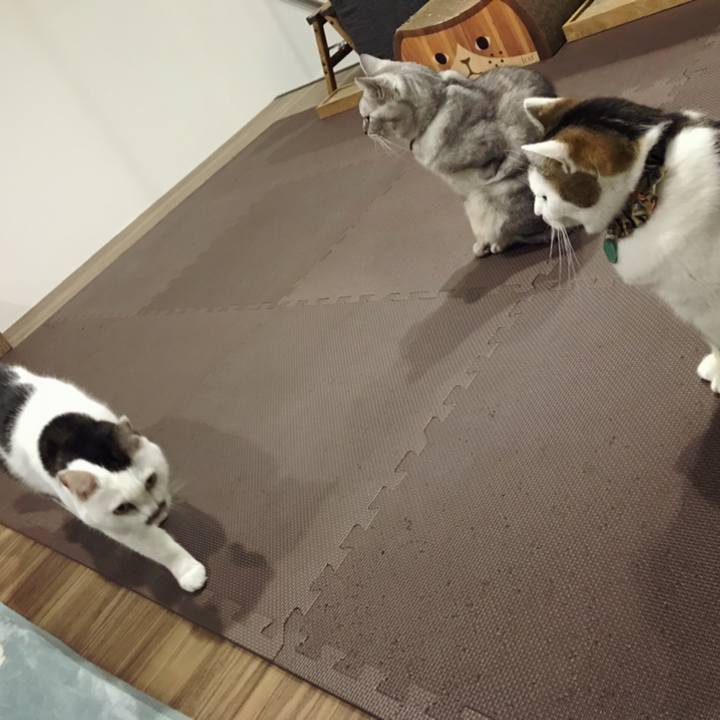 Fcd762c8 9e83 4295 a3e2 8fd69b92f304 1604036426329