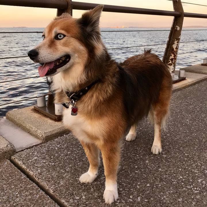 Fcd78742 8ad6 4acb a6ad c5f3f5b0e25f 1541163928521