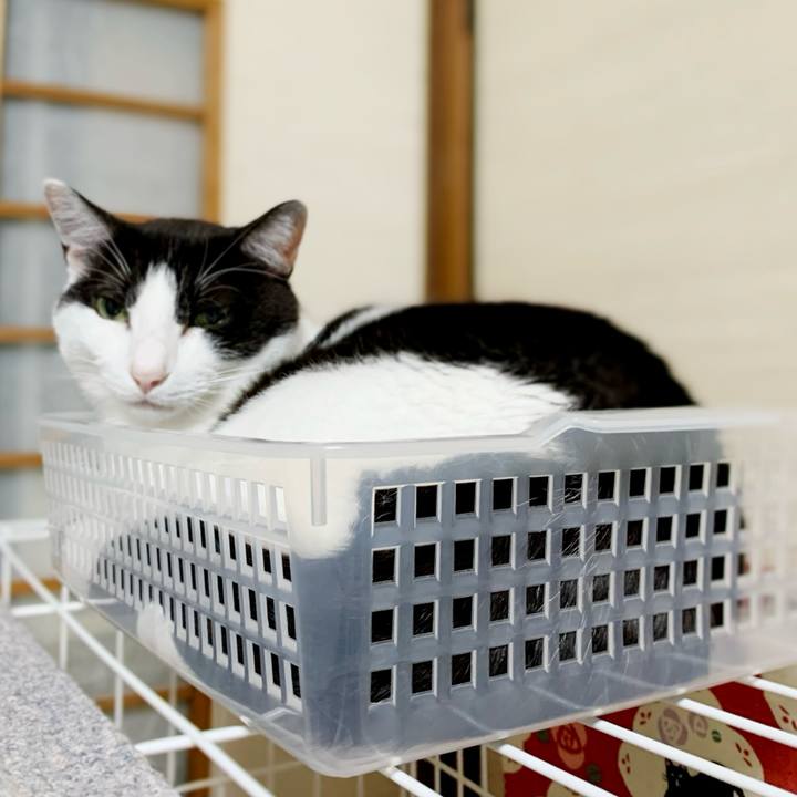 Fcd79eb9 348e 4a31 bf60 6ad02a27ad7f 1597026152761