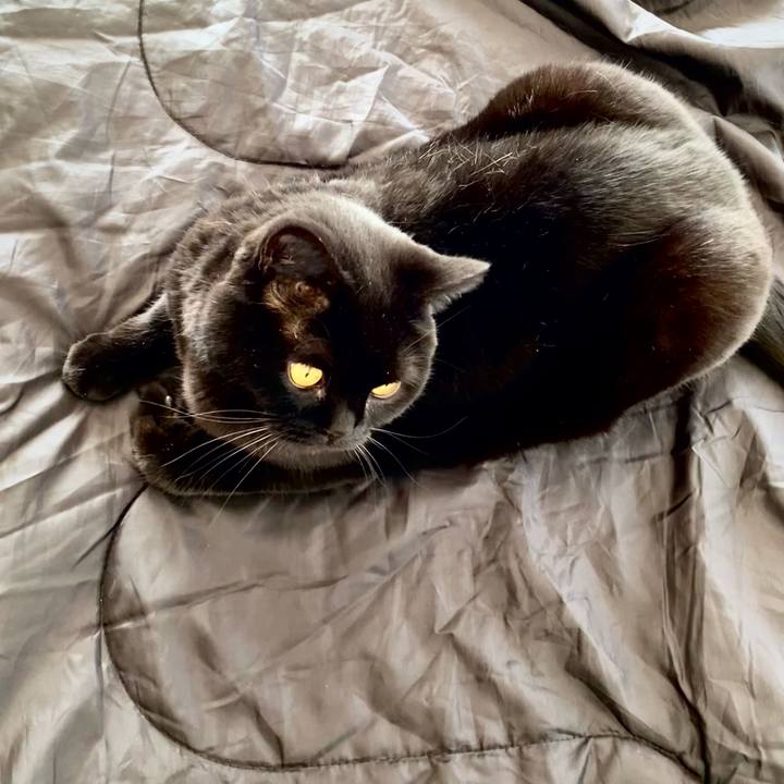 Fcd7b1e7 c5c2 4a0f a6e3 77714803b1c0 1773926735427